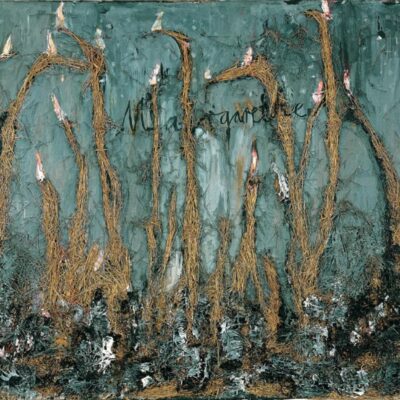 Suriye Düğümü: Küresel Cihat ve HTŞ  – Sinan C. Keskin